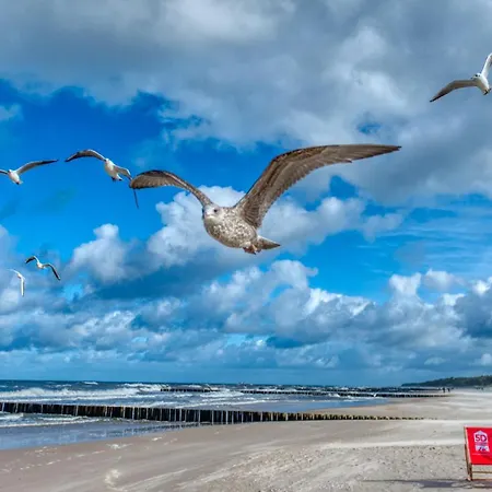 314 Z Widokiem Na Morze, Basenem I - 5d Daire Niechorze