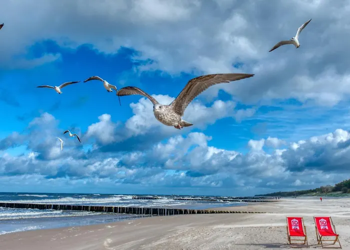 314 Z Widokiem Na Morze, Basenem I - 5d Daire Niechorze