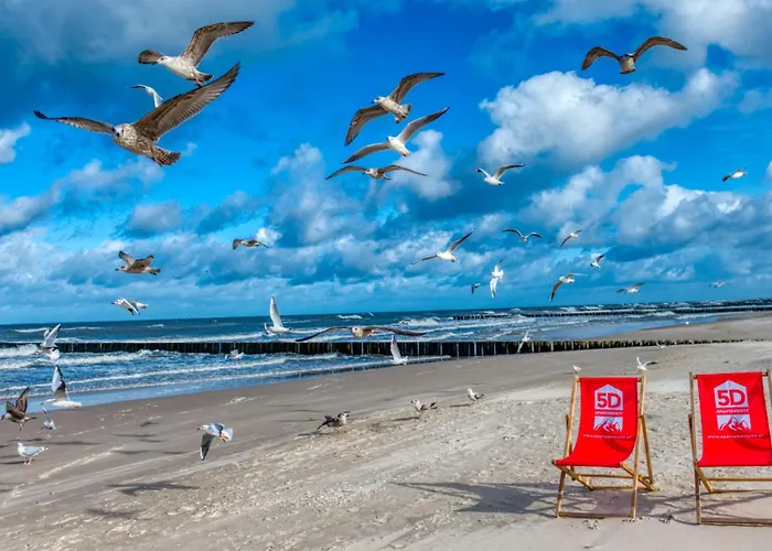 314 Z Widokiem Na Morze, Basenem I - 5d